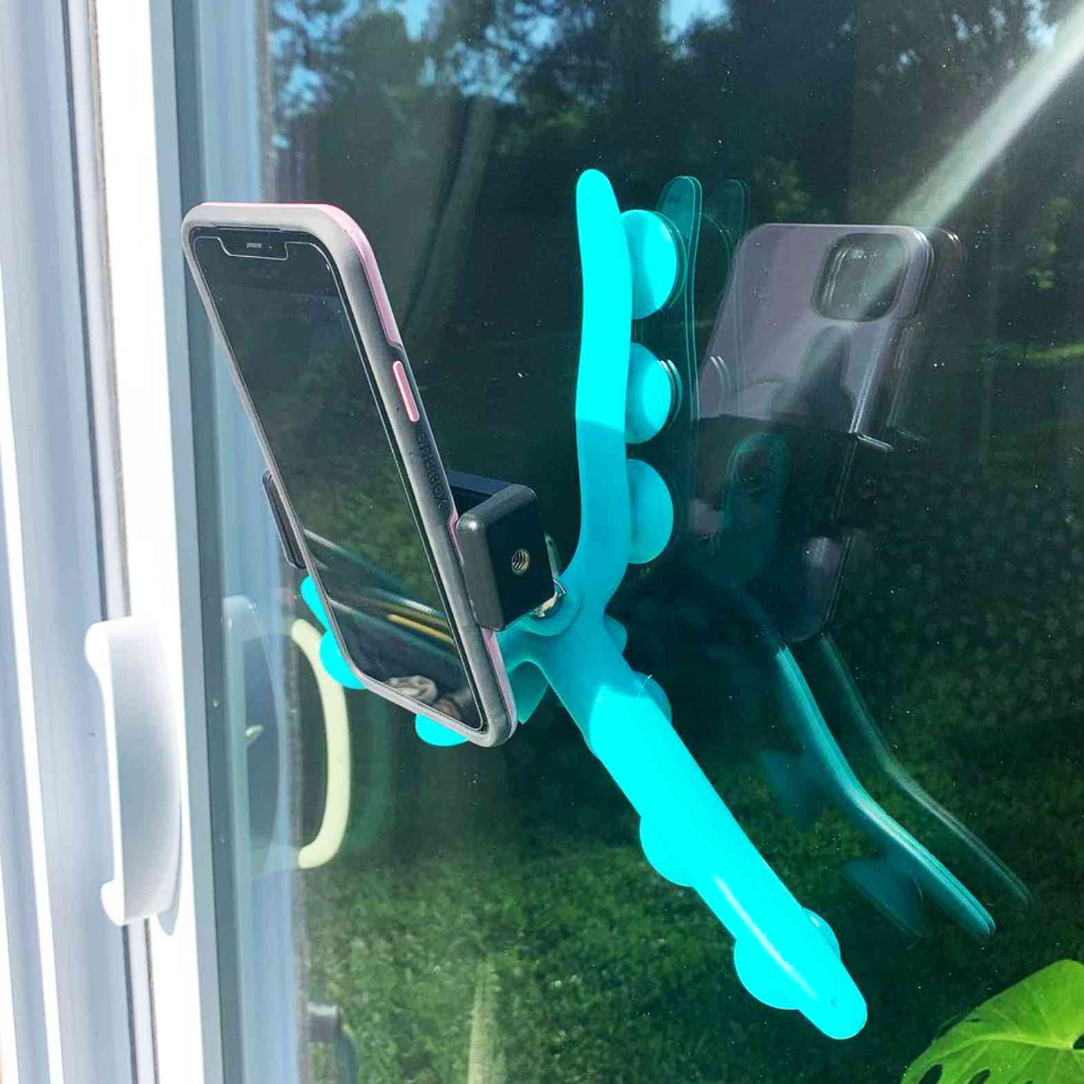 Holds cameras for you to see your pet